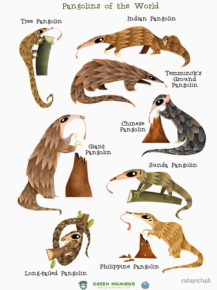Pangolins of the World by Green Humour Unisex