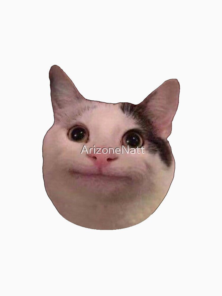 Cat Smiling Wholesome Sticker by ArizoneNatt