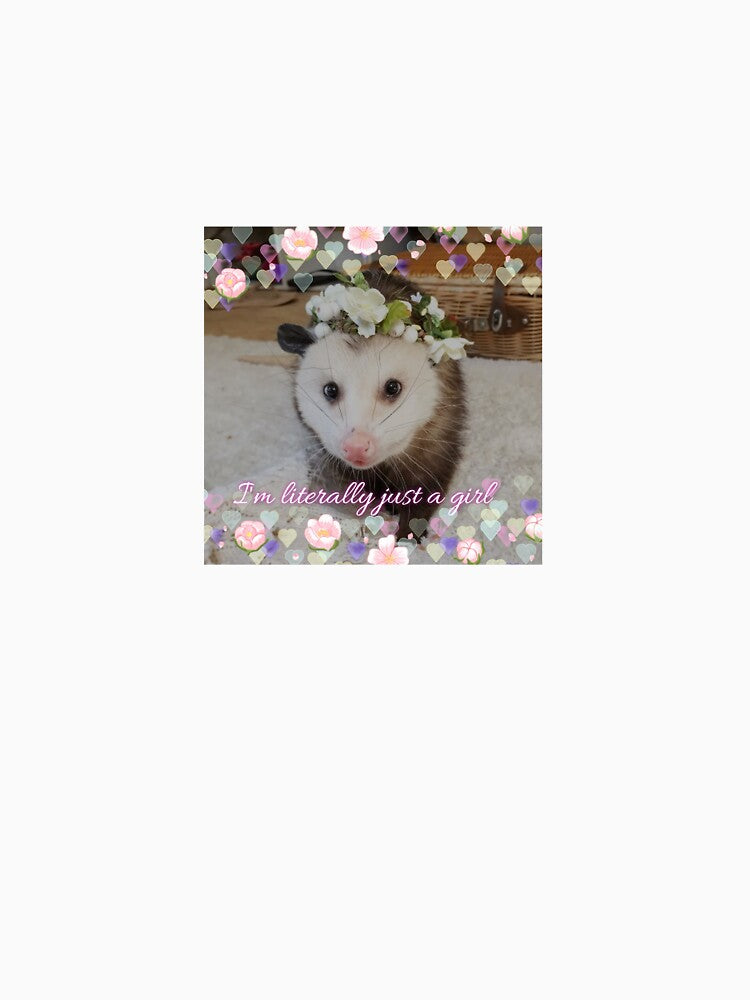 Just a girl - Funny Opossum Meme Print by BlossomPossumPrints