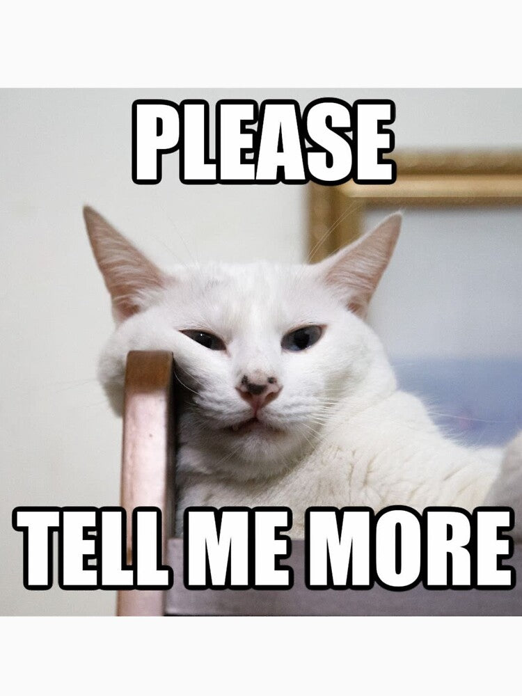 Please Tell Me More | Funny Cat Meme by Jocamedahub