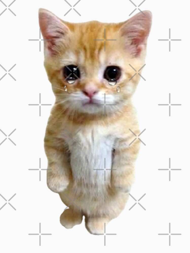 HQ Sad Crying Cat Standing Up Meme by fomodesigns