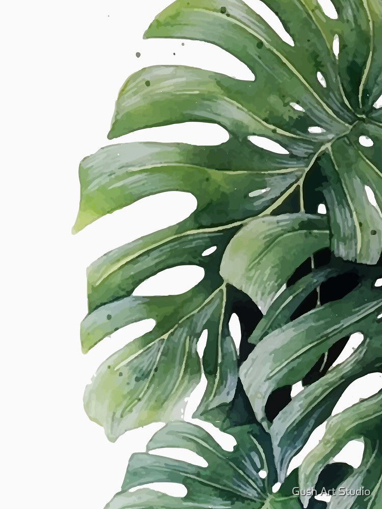Monstera Leaves 10 by Ana Moguš