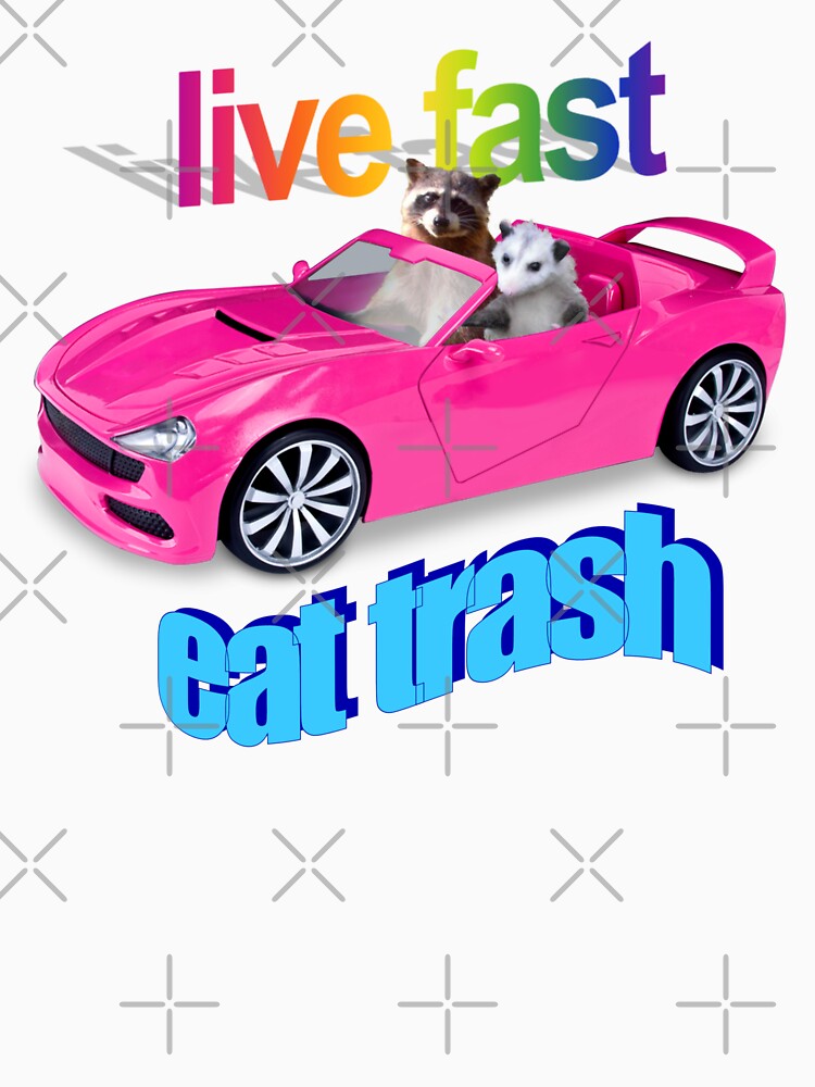 Life fast, eat trash raccoon possum word art by snazzyseagull