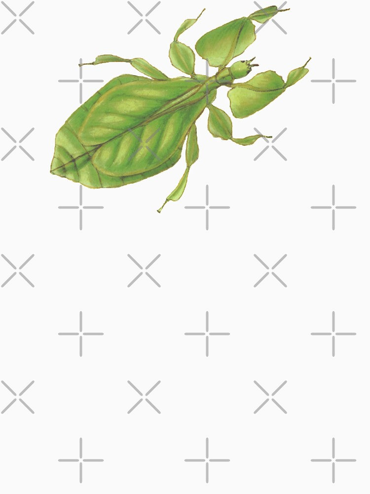Vintage Scientific Illustration of a Leaf Insect by bookishneighbor
