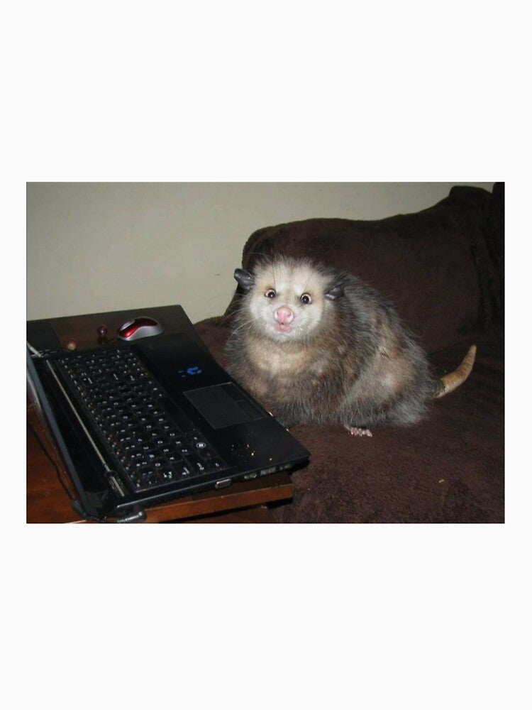 possum on computer pt 2 by trixieandkatya_again