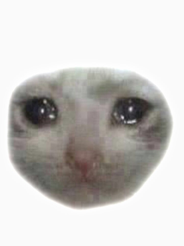 crying teary eyed sad cat meme by CleverJane