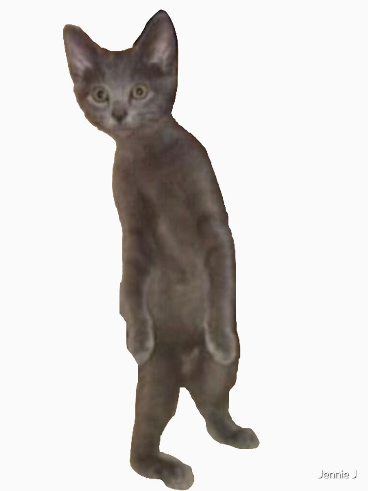 awkward cat meme standing by Jennie J