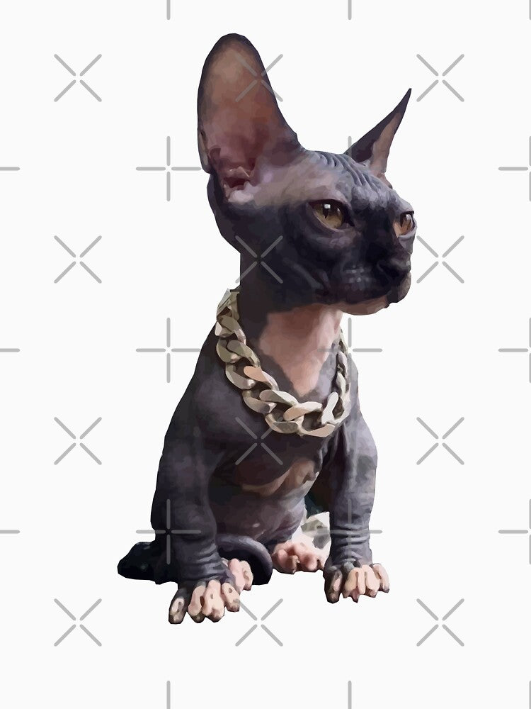 Gangsta Cat Meme by JFuentez