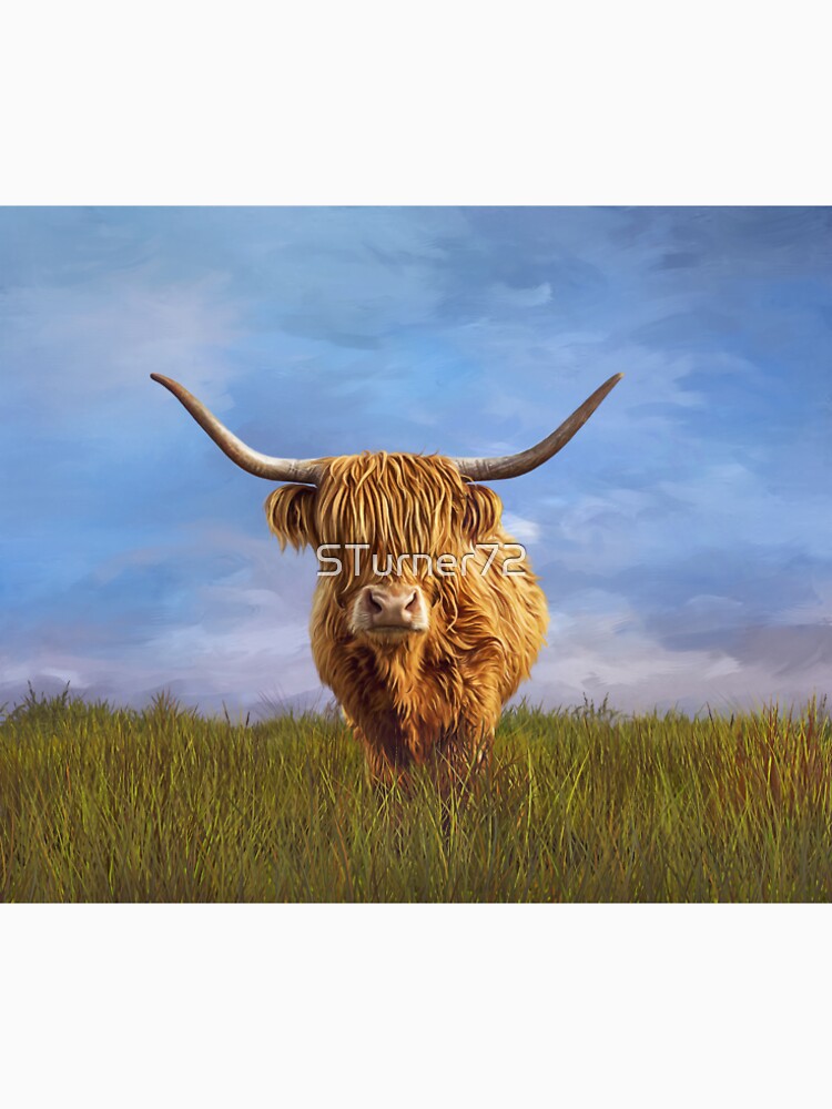 'Blossom' The Highland Cow by STurner72