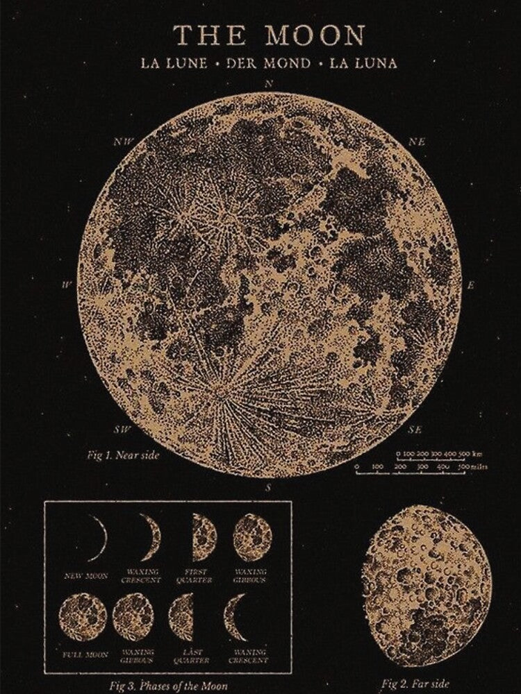 MOOn by surimi stick shop