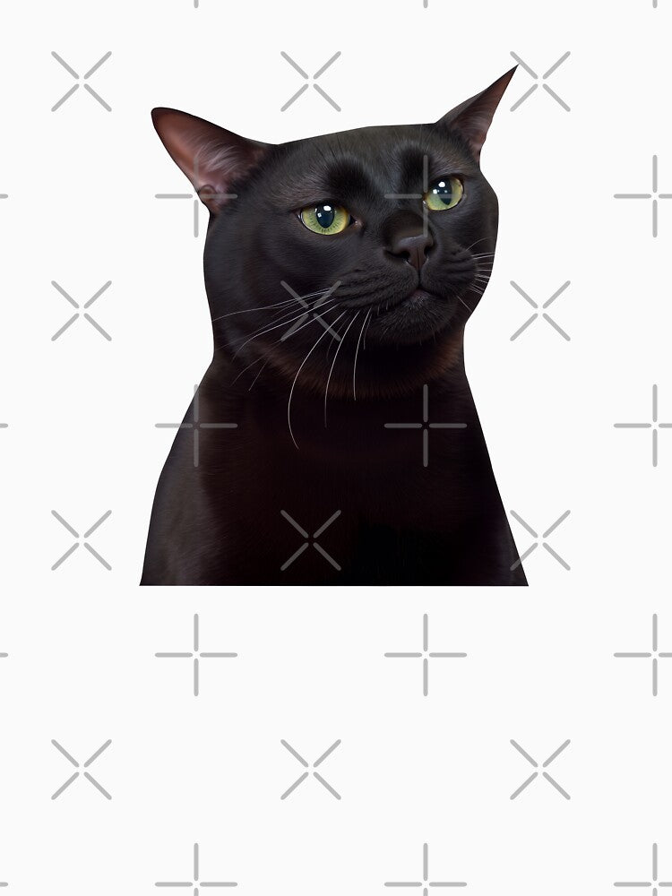 Black cat meme by TALENOffcials
