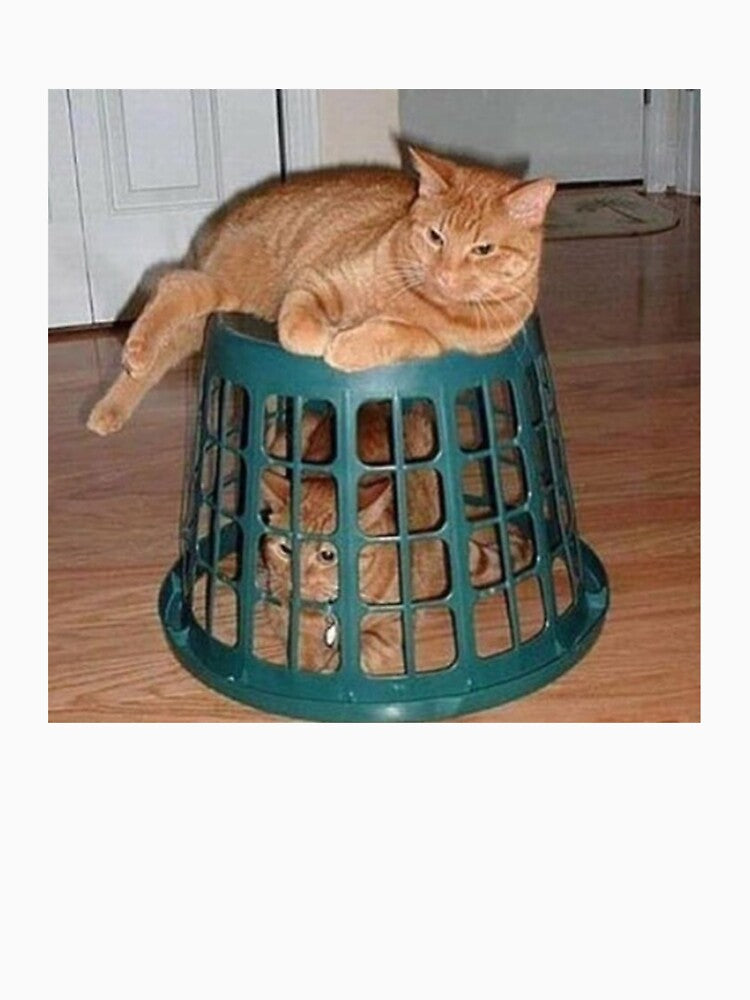 Evil & Trapped Cat by PapaKnox