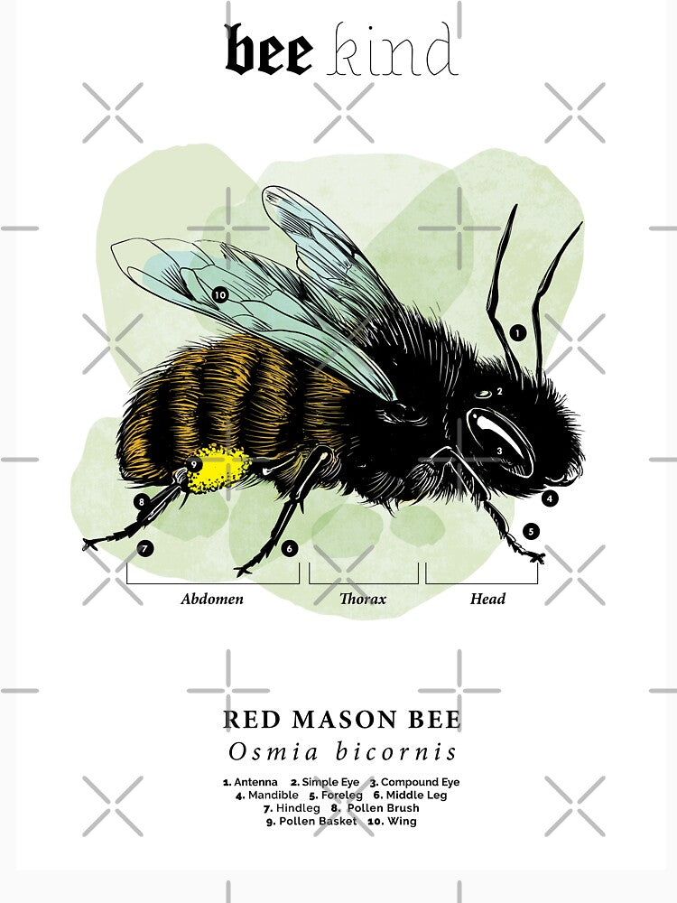 Bee Kind by xVelozeex Unisex