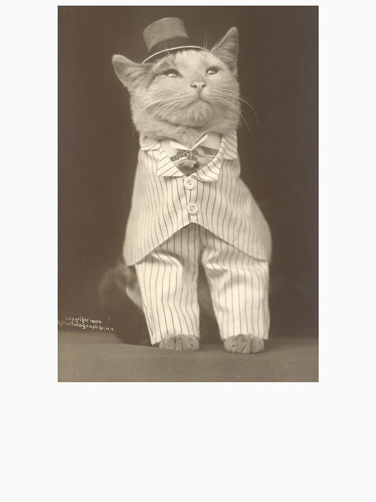Aristocat Meme by Meme Economy