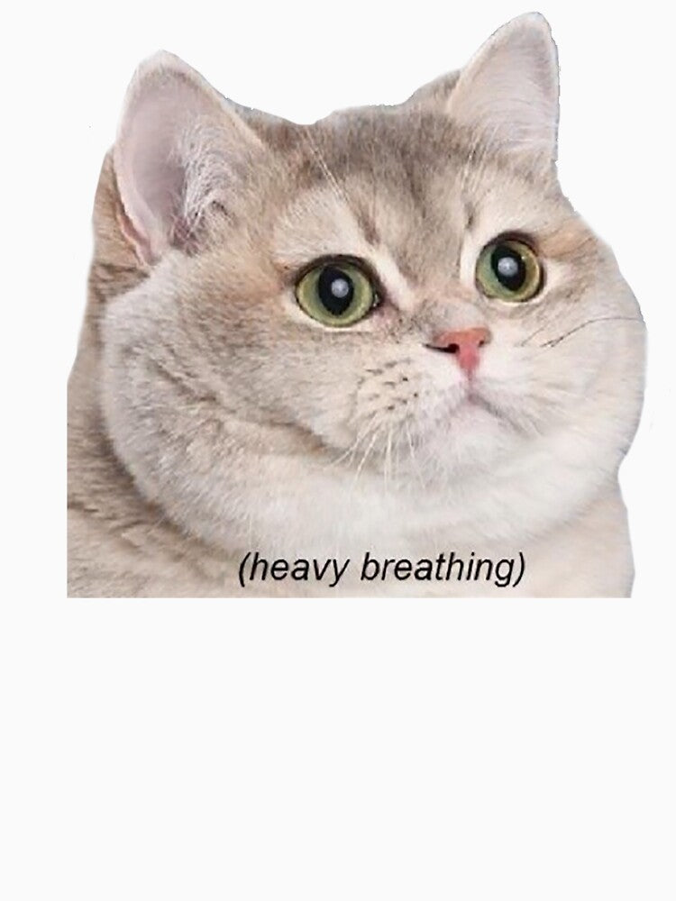 Heavy Breathing Cat by Meme Economy
