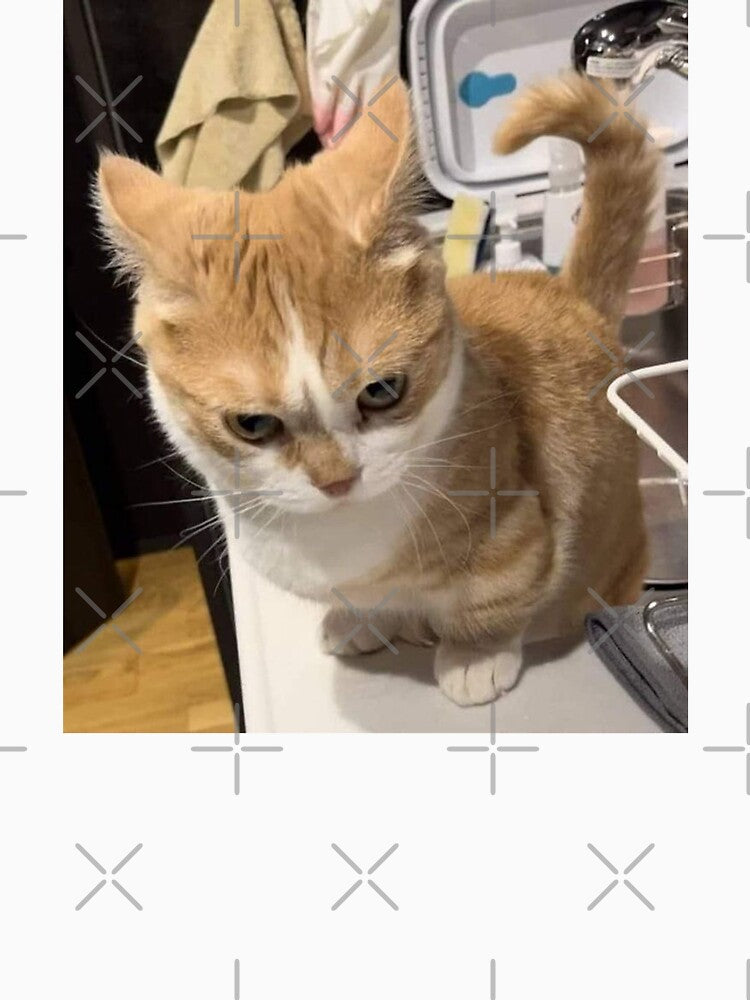 angry cat by CatsCritterDesigns