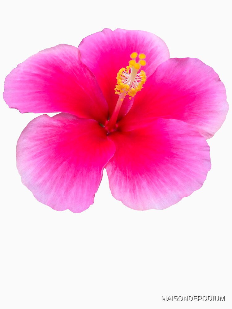 hibiscus minimal summer girly t shirt by MAISONDEPODIUM
