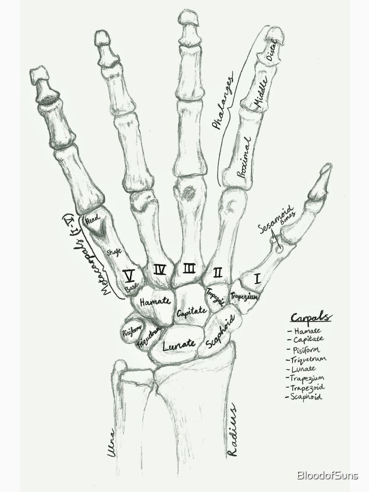 skeleton hand by BloodofSuns