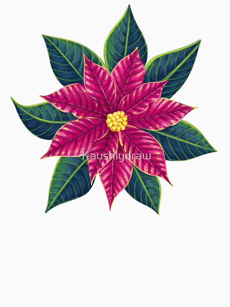 Poinsettia Christmas flower pink by Kaushlydraw