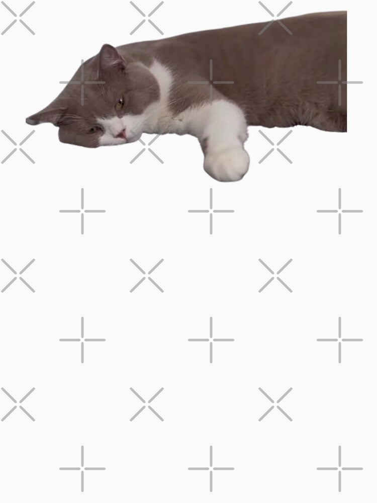 crying cat meme by Rrrmin