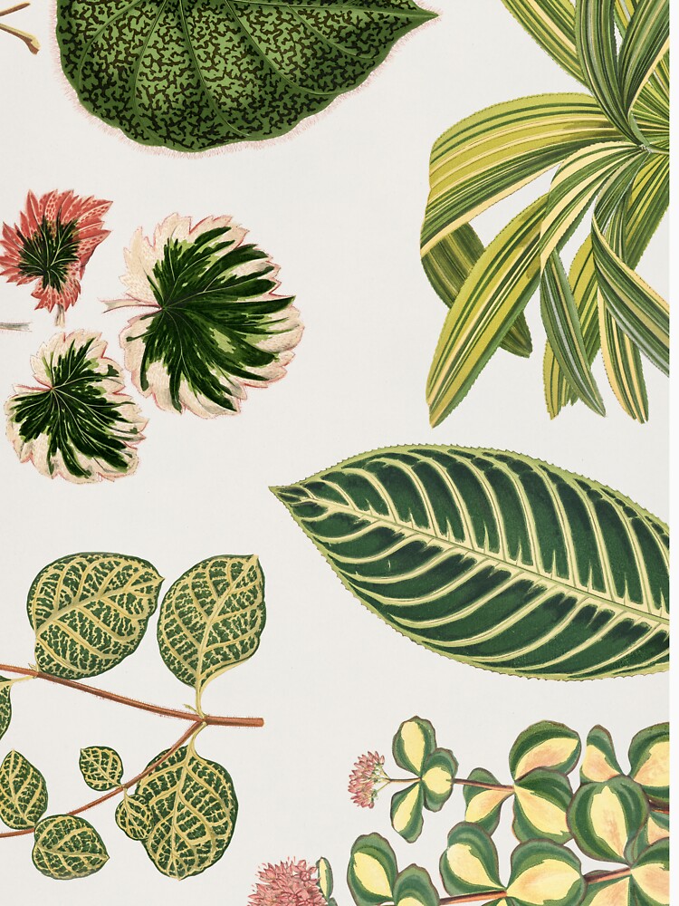 Green Botanical Leaf Painting by newburyboutique