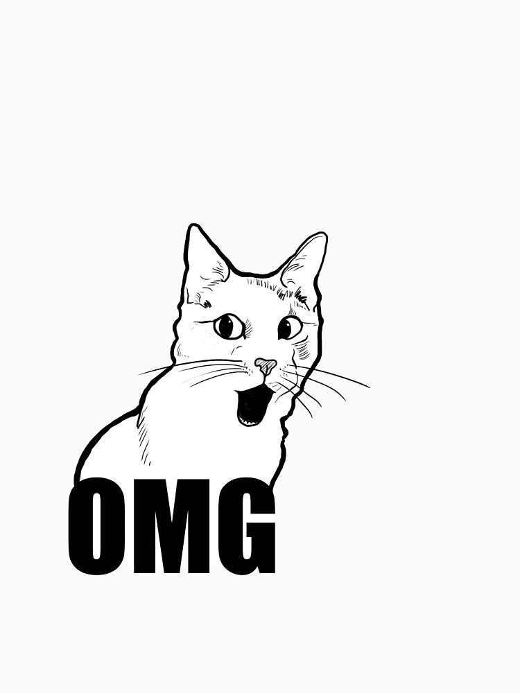 OMG Cat by ienjoycatsss