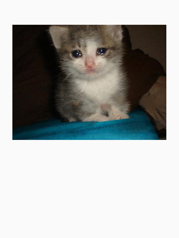 Crying Cat by PapaKnox
