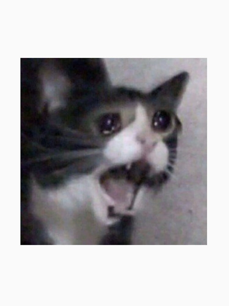 Screaming Crying Sad Cat by agentcake