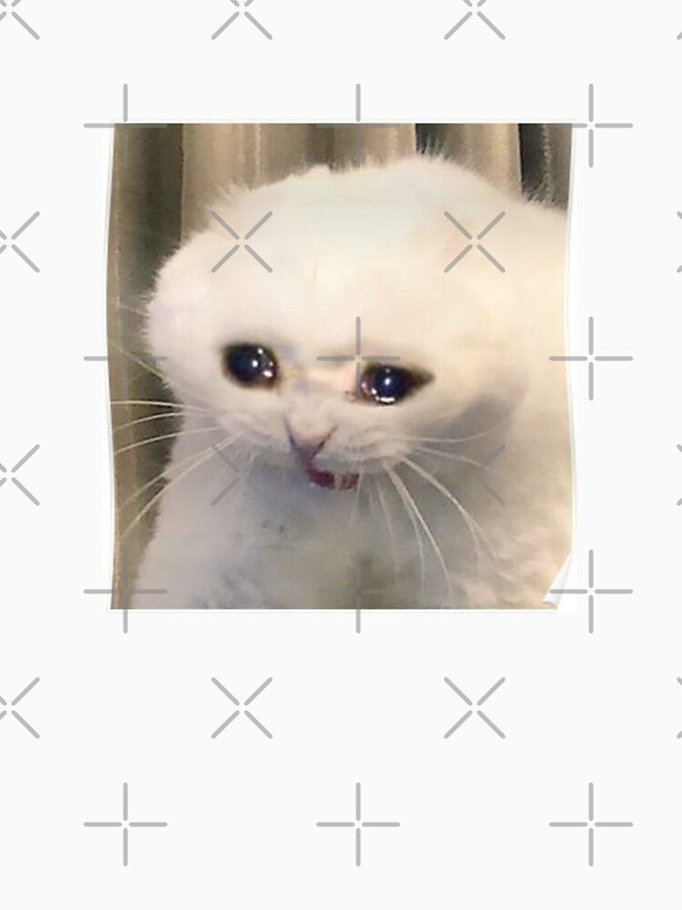 CAT MEME by LableLove