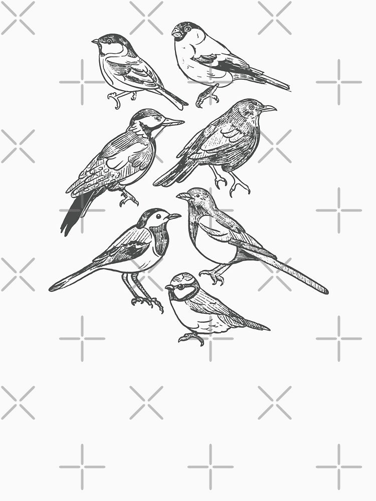 Bird watching | Bird watcher | Bird species by DerSenat