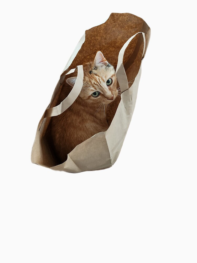 orange cat in a bag by kpopotato