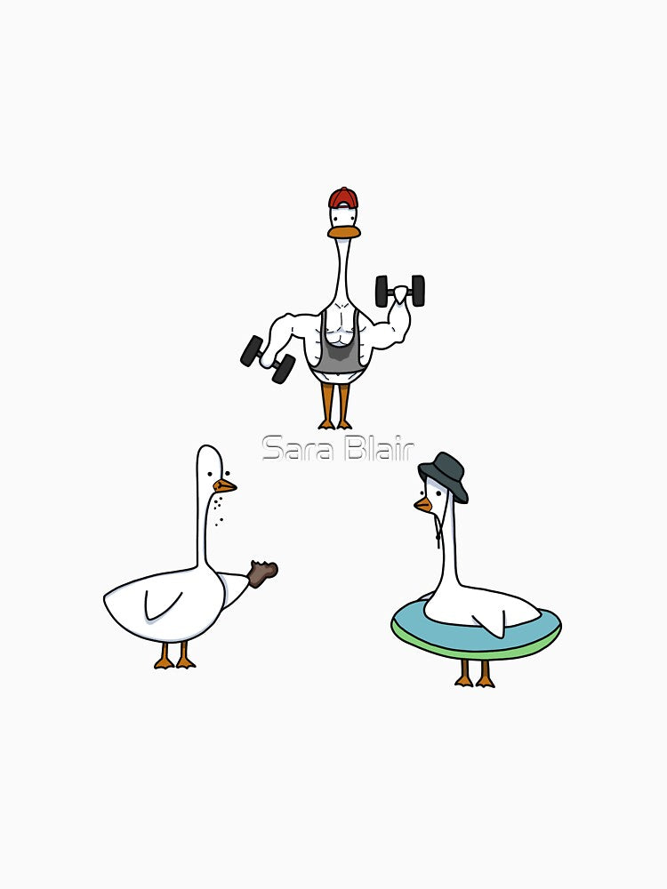 Duck Set by Sara Blair
