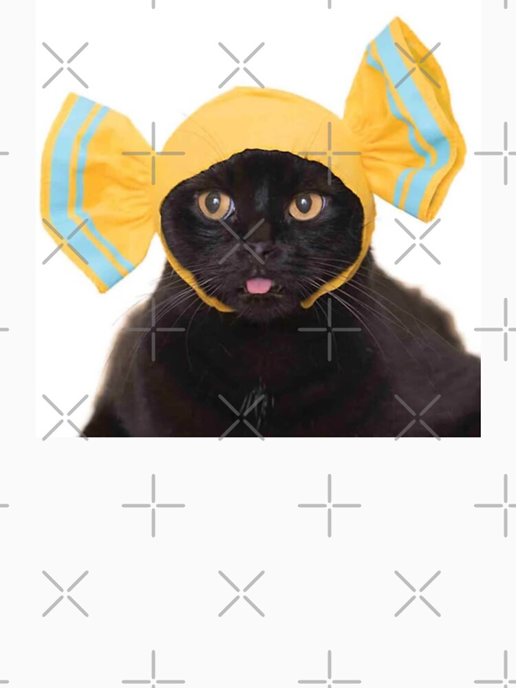 cat with hat on by CatsCritterDesigns