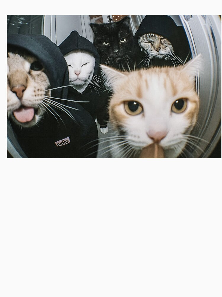 Funny Meme Cat Gang Squad by RebeccaLittlee