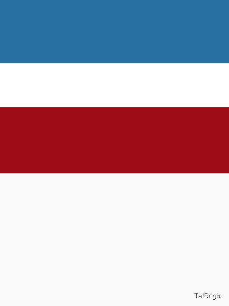 Red Blue Retro Stripes - Mod Style by TalBright