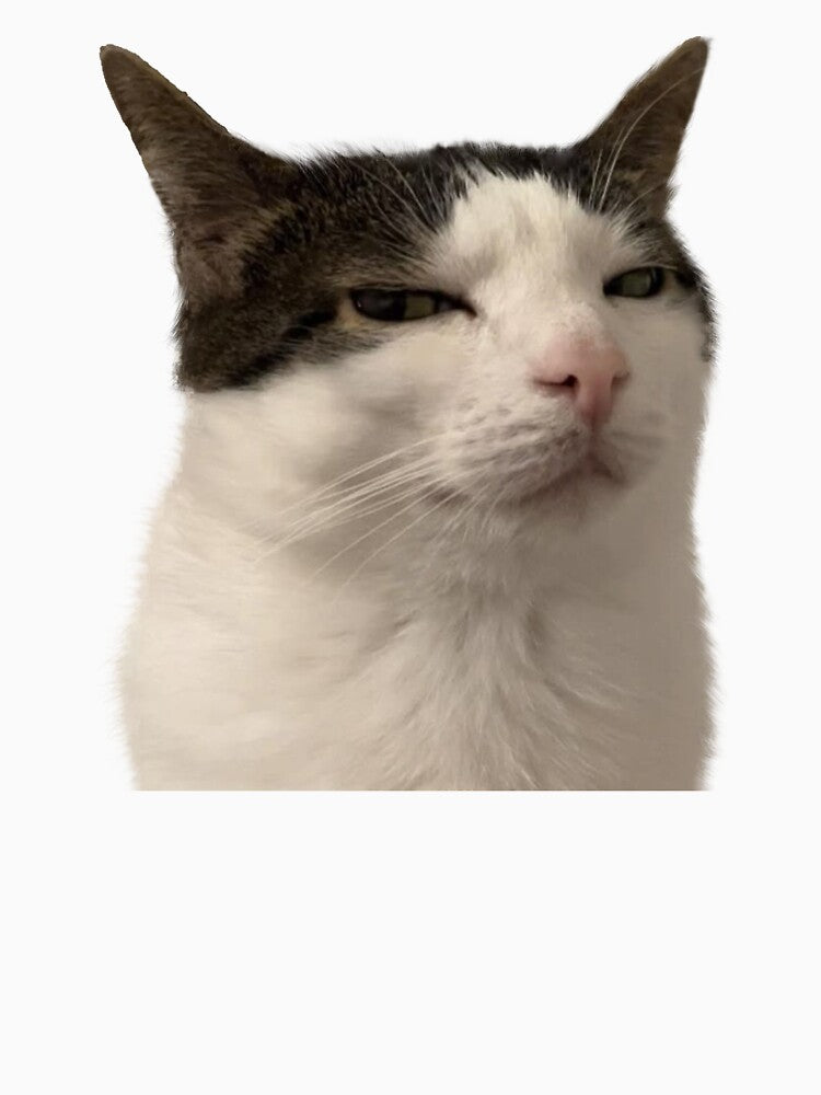 Funny Cat Judges Meme by RebeccaLittlee