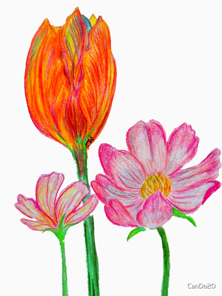 Tulips and Flowers by CanDo20