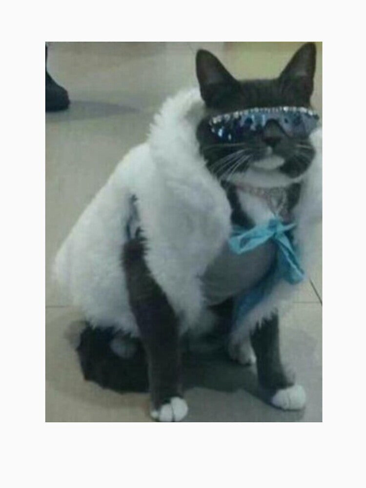 Thug Cat by PapaKnox