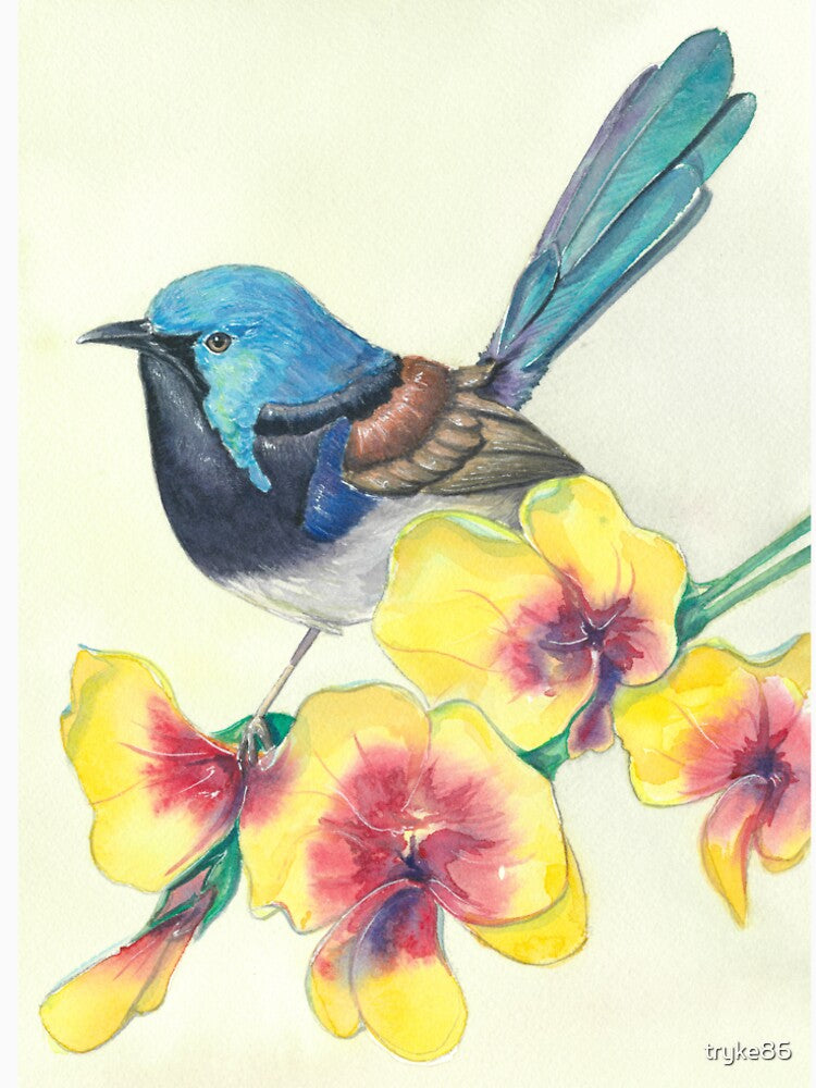 Superb Fairy Wren by tryke86
