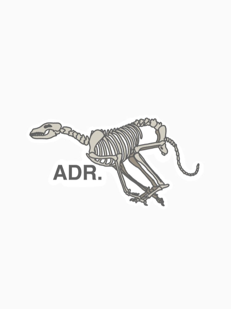 ADR by katiek-franklin