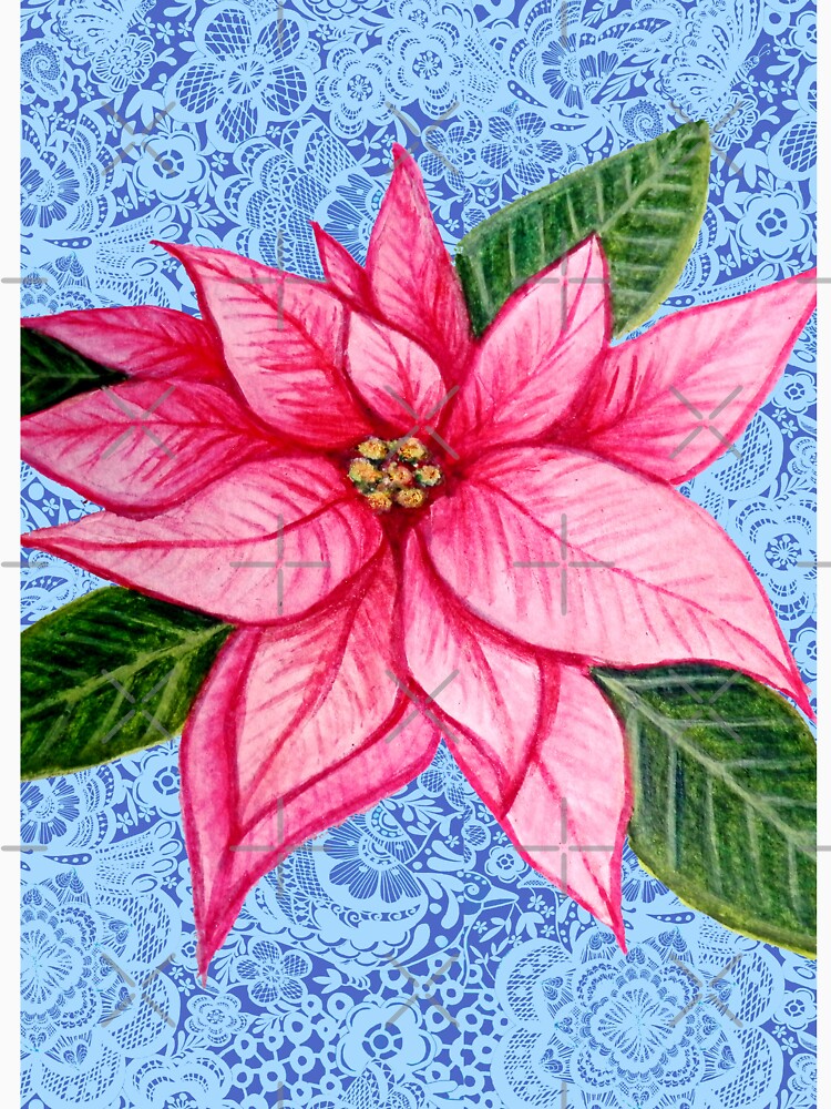 Pink Poinsettia art Postcard and Holiday greetings card by MagentaRose
