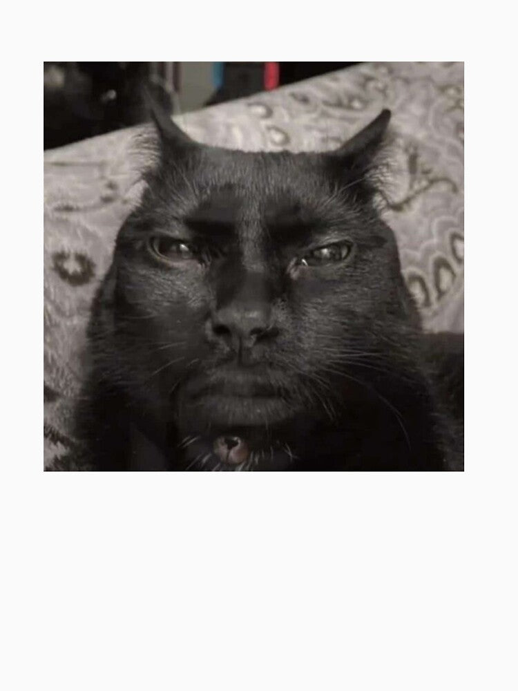 Sigma cat by shannyyyy