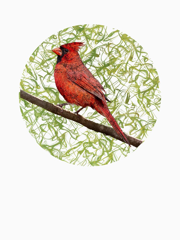 Welcomed Visitor by Teal Key Studio