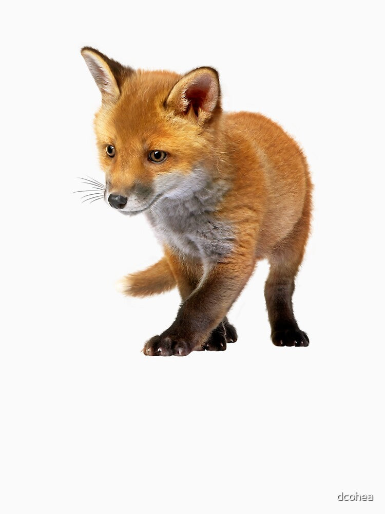 Cute Baby Red Fox by dcohea