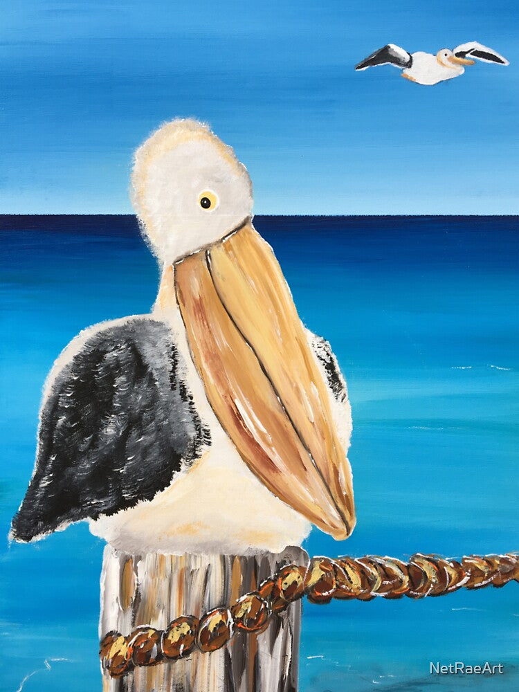 Pelican watching by NetRaeArt