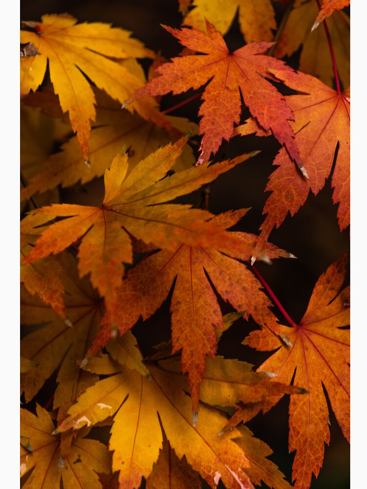 Orange and brown leaf pattern by Kanchan1987