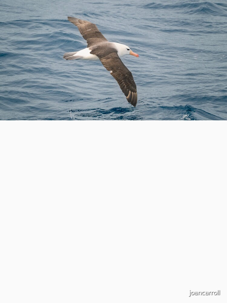 Black-Browed Albatross Gliding Over Ocean Waves by PhotoArt by Joan Carroll