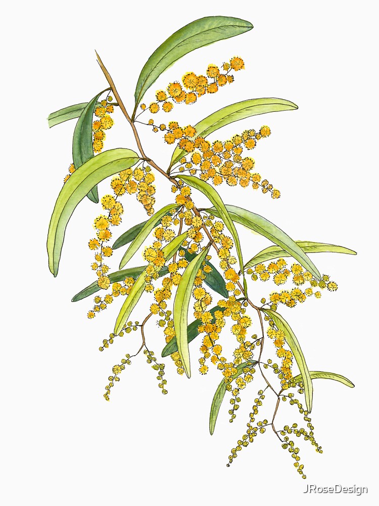 Australian Wattle Flower, Illustration by JRoseDesign Unisex