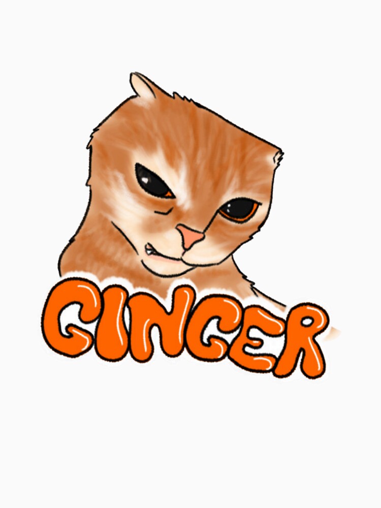 Ginger Cat Meme Funny Smirk Cartoon by XanDuriCatcute