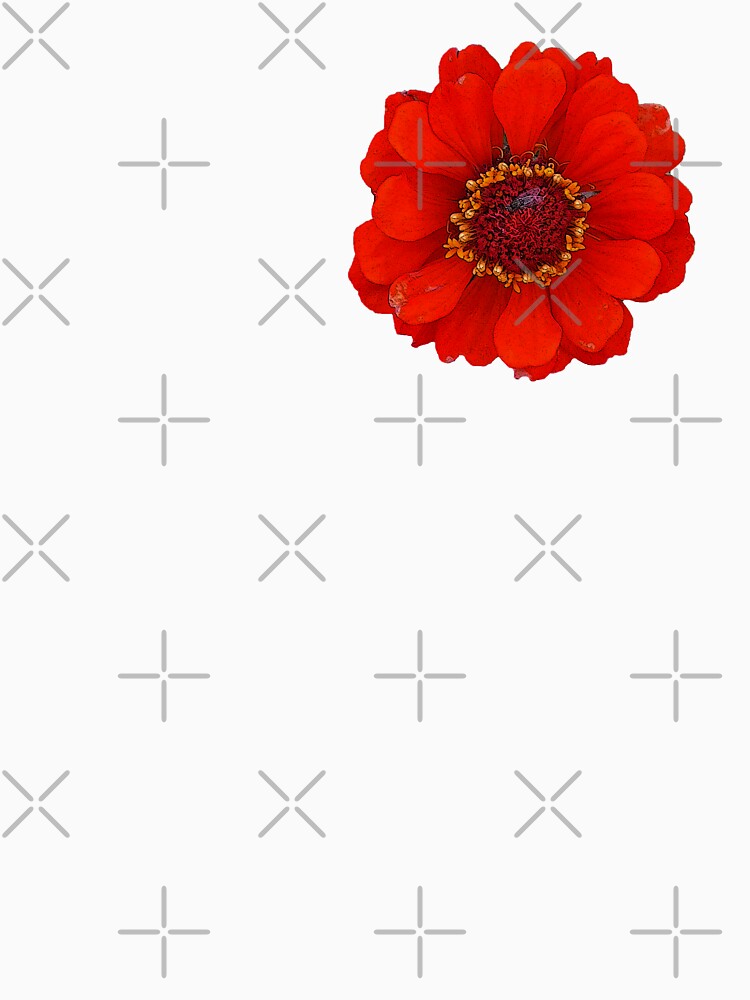 Bright Red Zinnia Flower With a Fly by monica-mirt